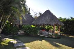 palm thatch roofs